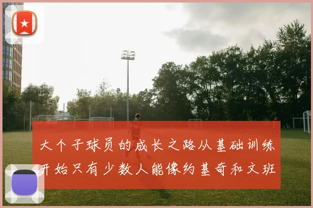 大个子球员的成长之路从基础训练开始只有少数人能像约基奇和文班那样成功